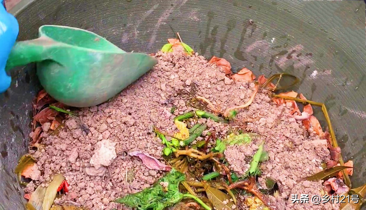 不要再愁没有好土种菜了，到松树下装一袋，一泡一闷营养土就来了