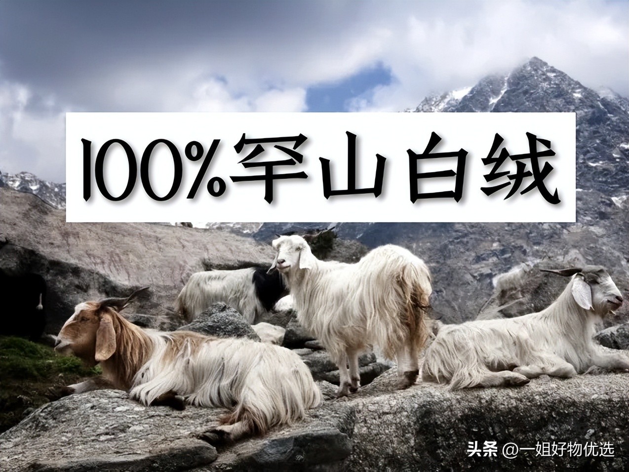 围巾男士推荐,围巾男款冬季新款