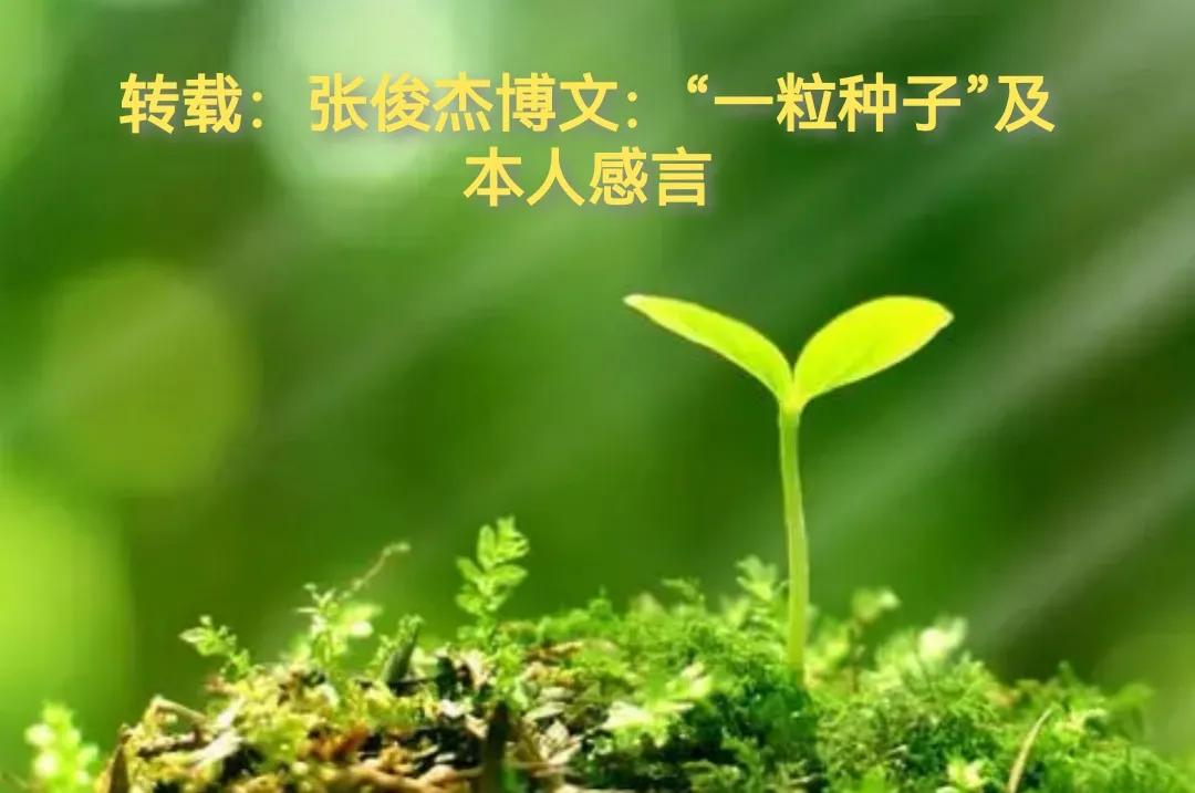 转载：张俊杰博文：“一粒种子”及小牮感言