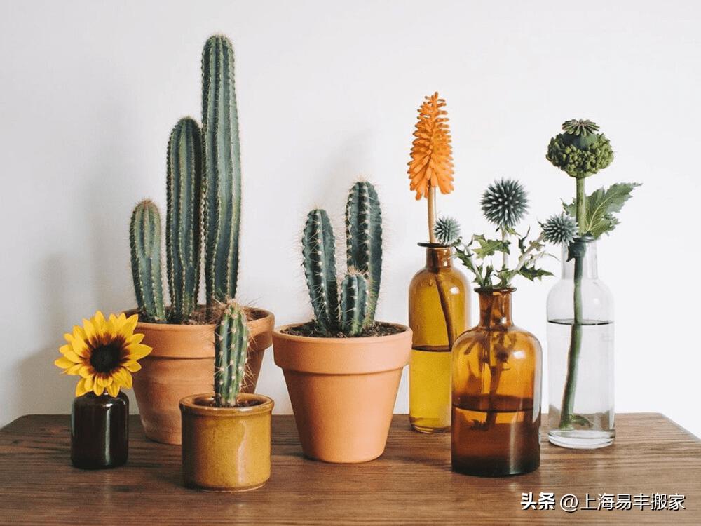 乔迁新居送什么礼物比较好实用,乔迁新居送什么礼物好平价