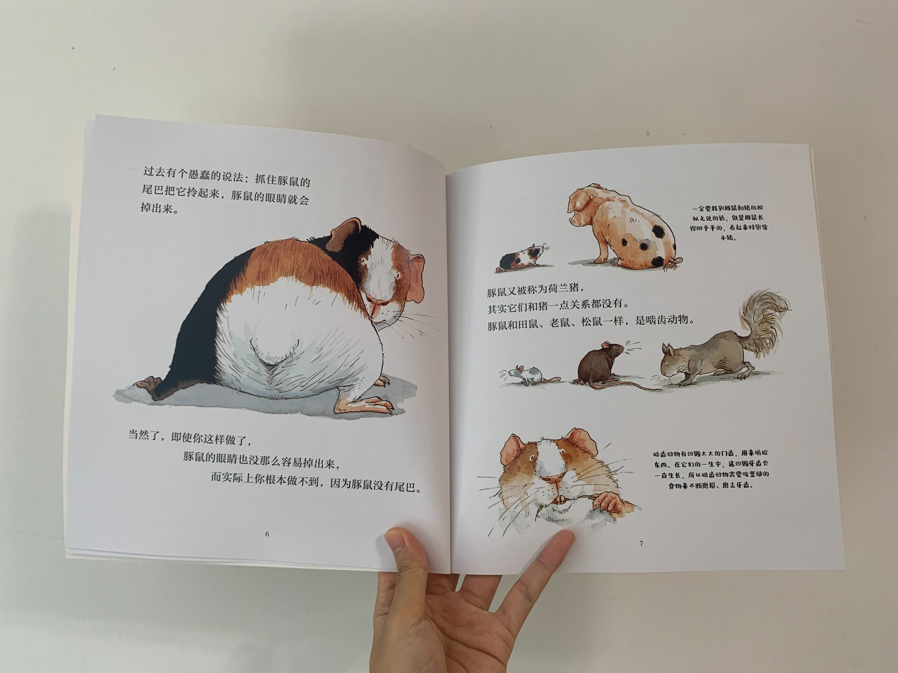 如何启发孩子观察大自然,培养孩子自然观察