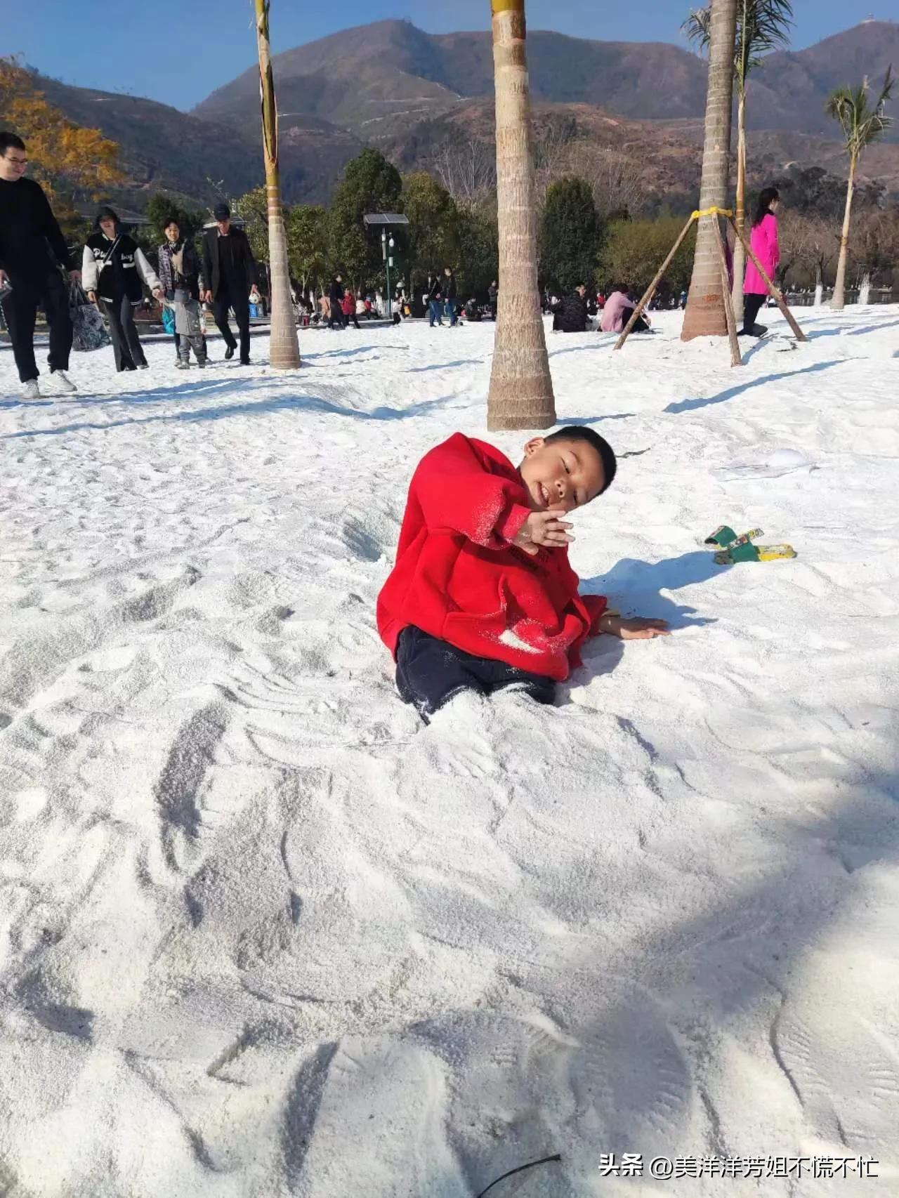 西昌邛海什么时候有海鸥,冬季去西昌邛海喂海鸥