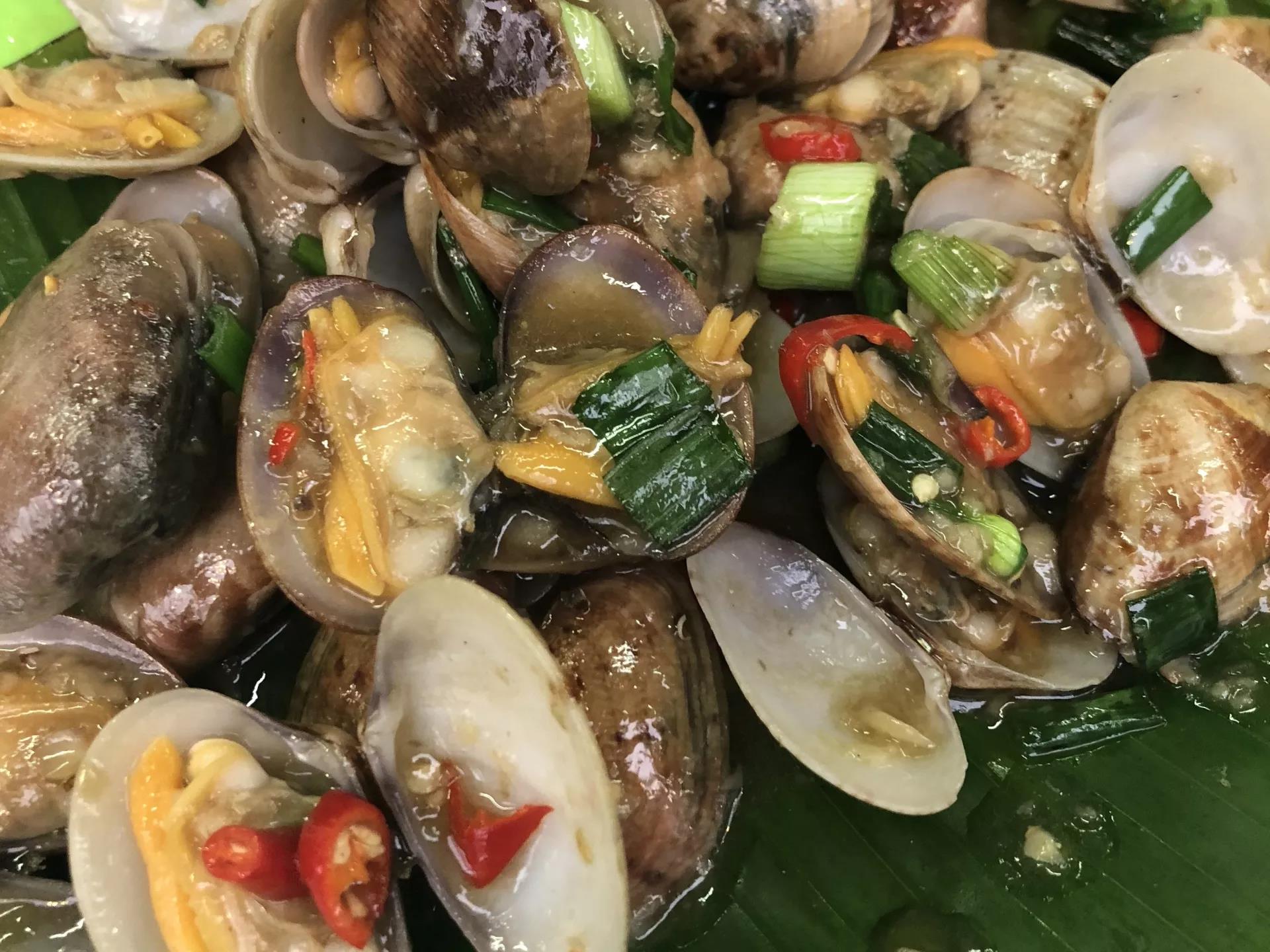 钱猫猫王者荣耀,钱猫猫的视频