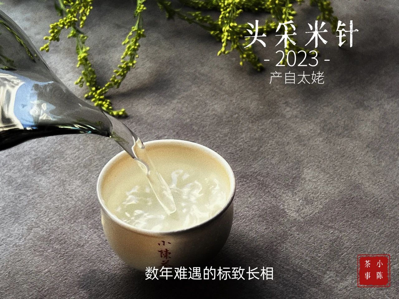 绿茶乌龙茶普洱茶怎么喝才适合,白茶红茶绿茶哪个更好喝一点