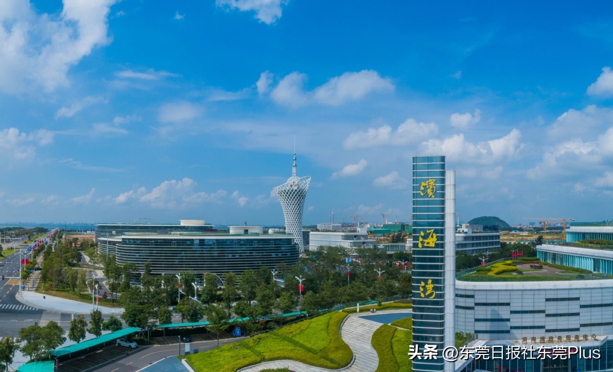 东莞市滨海湾港澳青年创新创业,东莞滨海湾招商引资