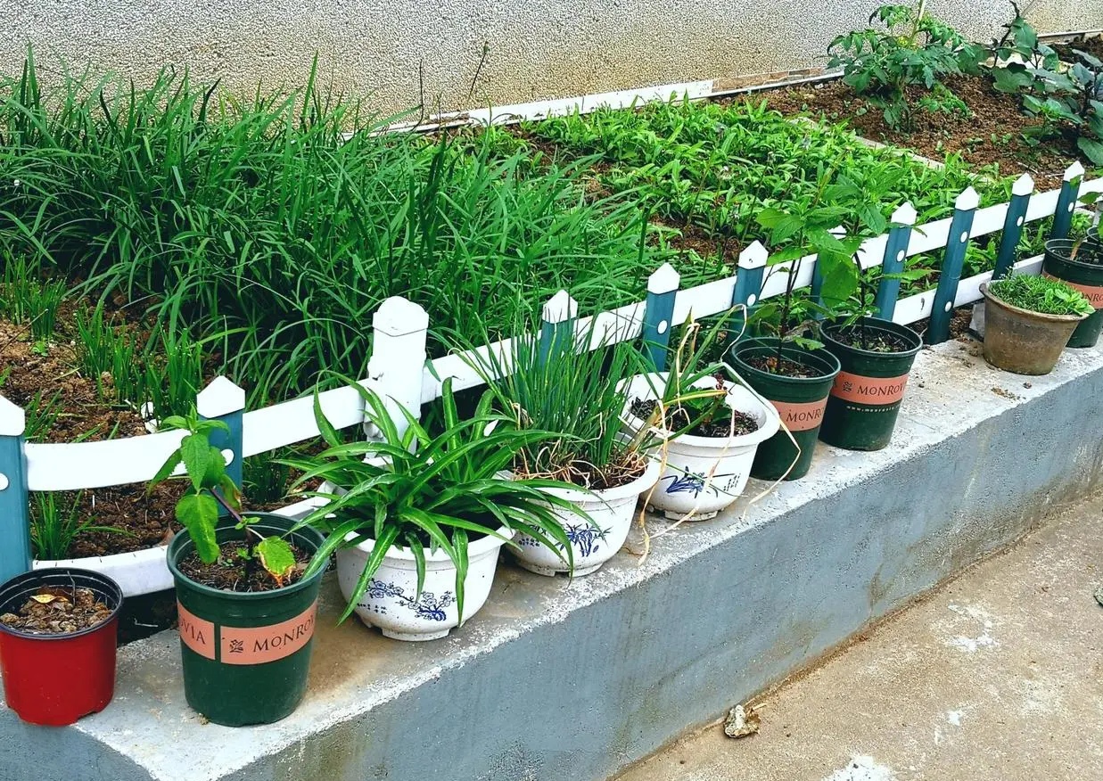 武进区湖塘何留村,常州武进何留墅何氏世系