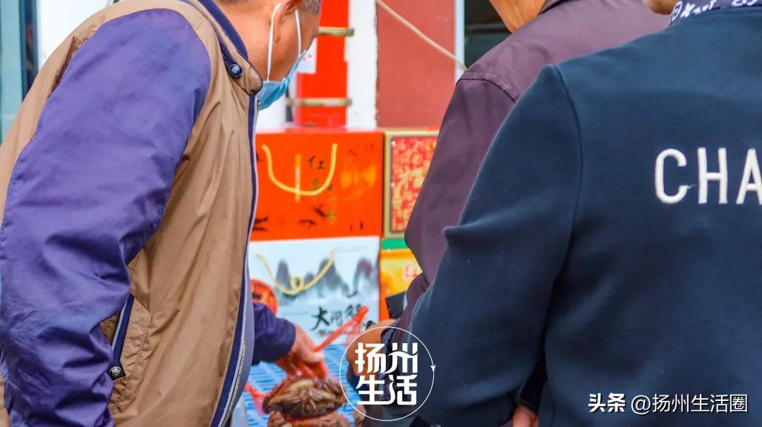 不吃一顿螃蟹，扬州人过不好这个秋天