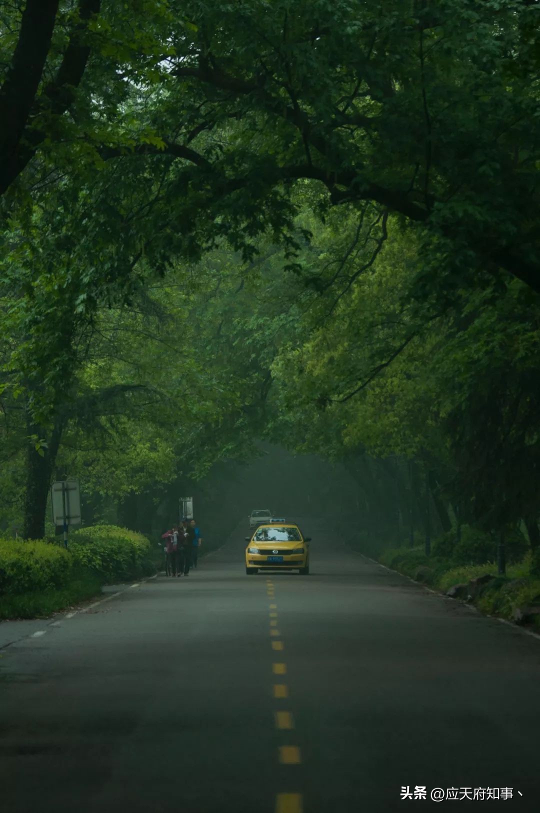 来南京不能错过的小众打卡地,南京江宁小众打卡点