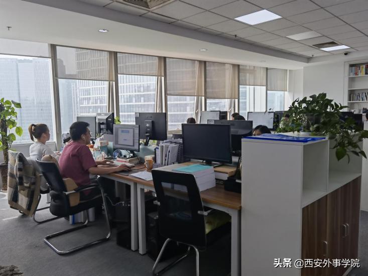 瑗垮畨澶栦簨瀛﹂櫌缇庢湳瀛﹂櫌,瑗垮畨澶栦簨瀛﹂櫌浜烘枃鑹烘湳瀛﹂櫌