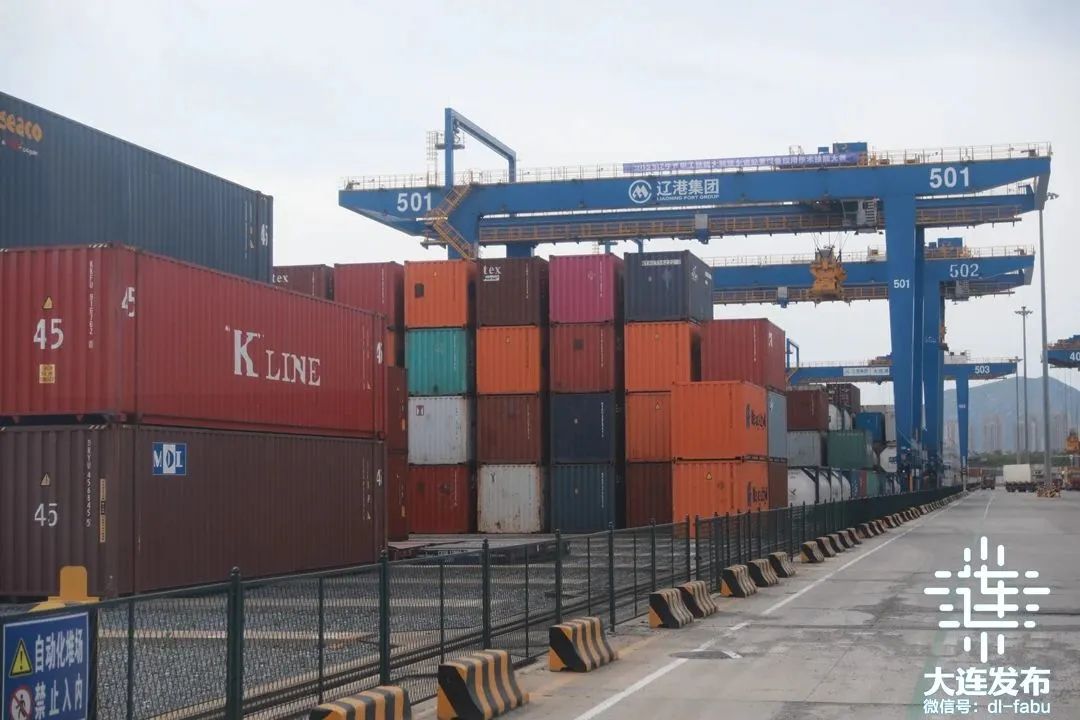 “你好，辽宁！你好，大连！”国内外网络名人、记者在这里读懂中国式现代化