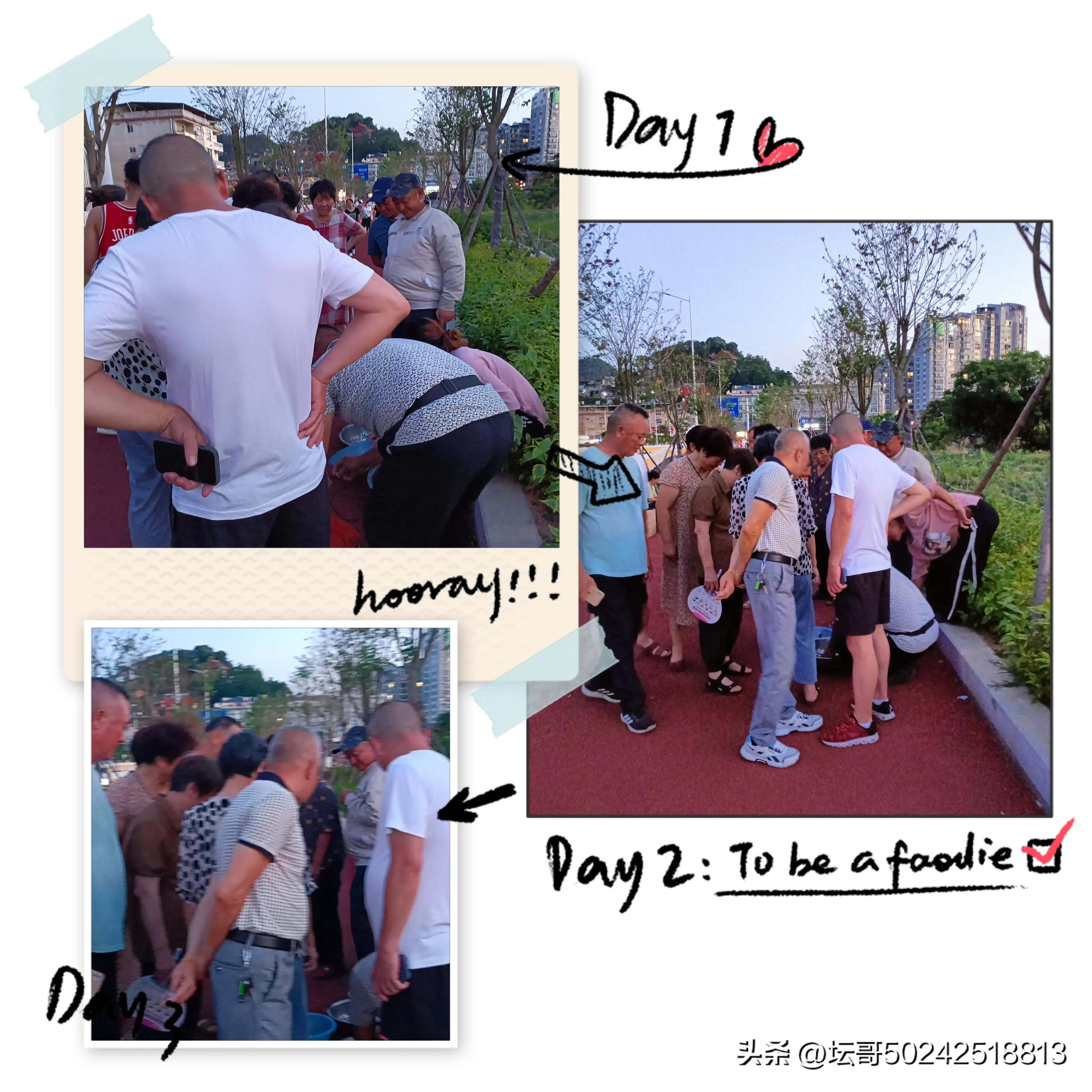 赛岐凤尾鱼价格,赛岐凤尾鱼