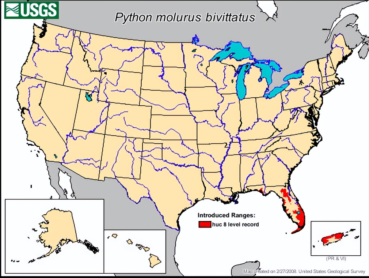 3米巨蟒被咬死,4米巨蟒吞下3只羊羔事件