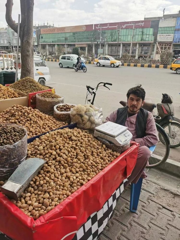 上班族可以旅游吗,现在普通人可以随便出国旅游吗