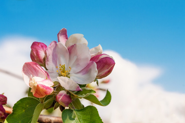 如何培养思考习惯表达能力,8种方法帮你提升表达能力