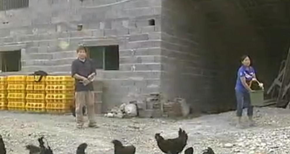 四川富翁撇下百万家产，携小29岁娇妻进深山，6年后又致富百万