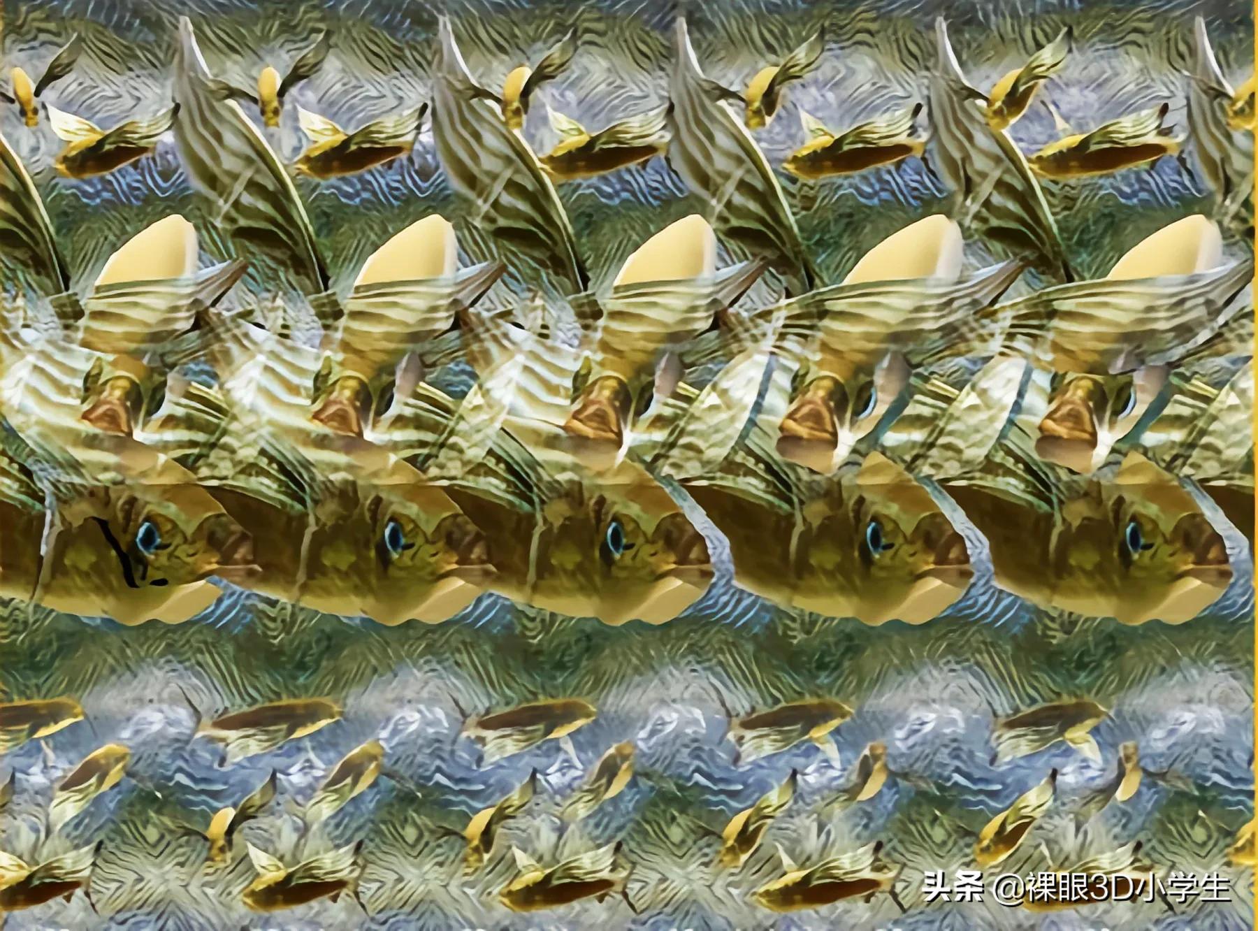 地球三维立体动图,有趣的三维图