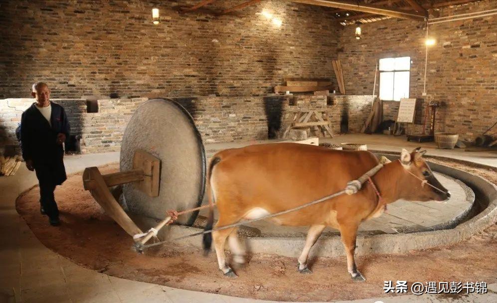 在乡下的初恋,青涩的乡村