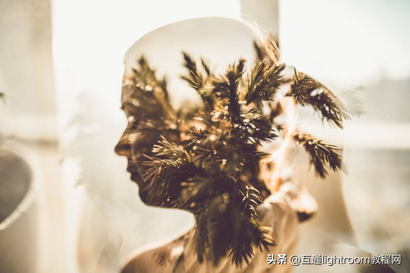 拍出清晰的风景照方法和技巧,风景照拍照技巧纯风景构图