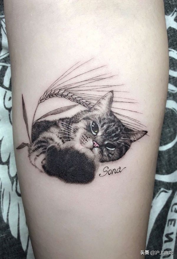 猫咪纹身图案设计,猫咪纹身图片小图案