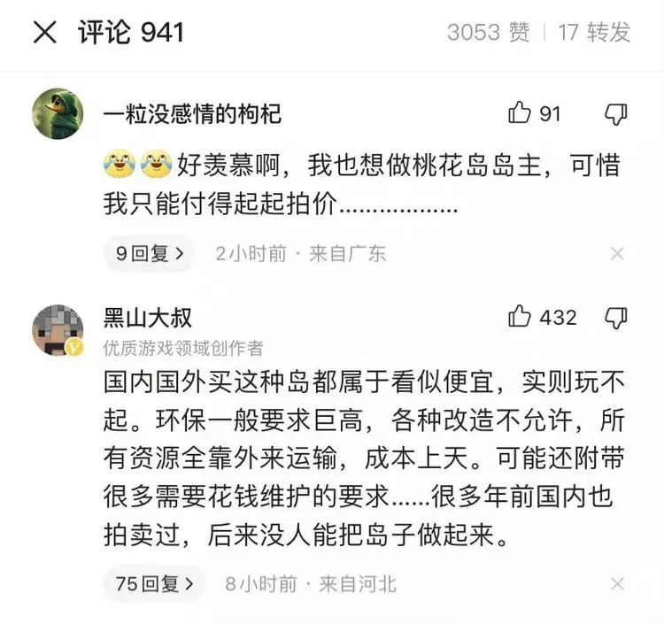 中国女子在日本买下70万平小岛，60万起拍，网友：羡慕极了