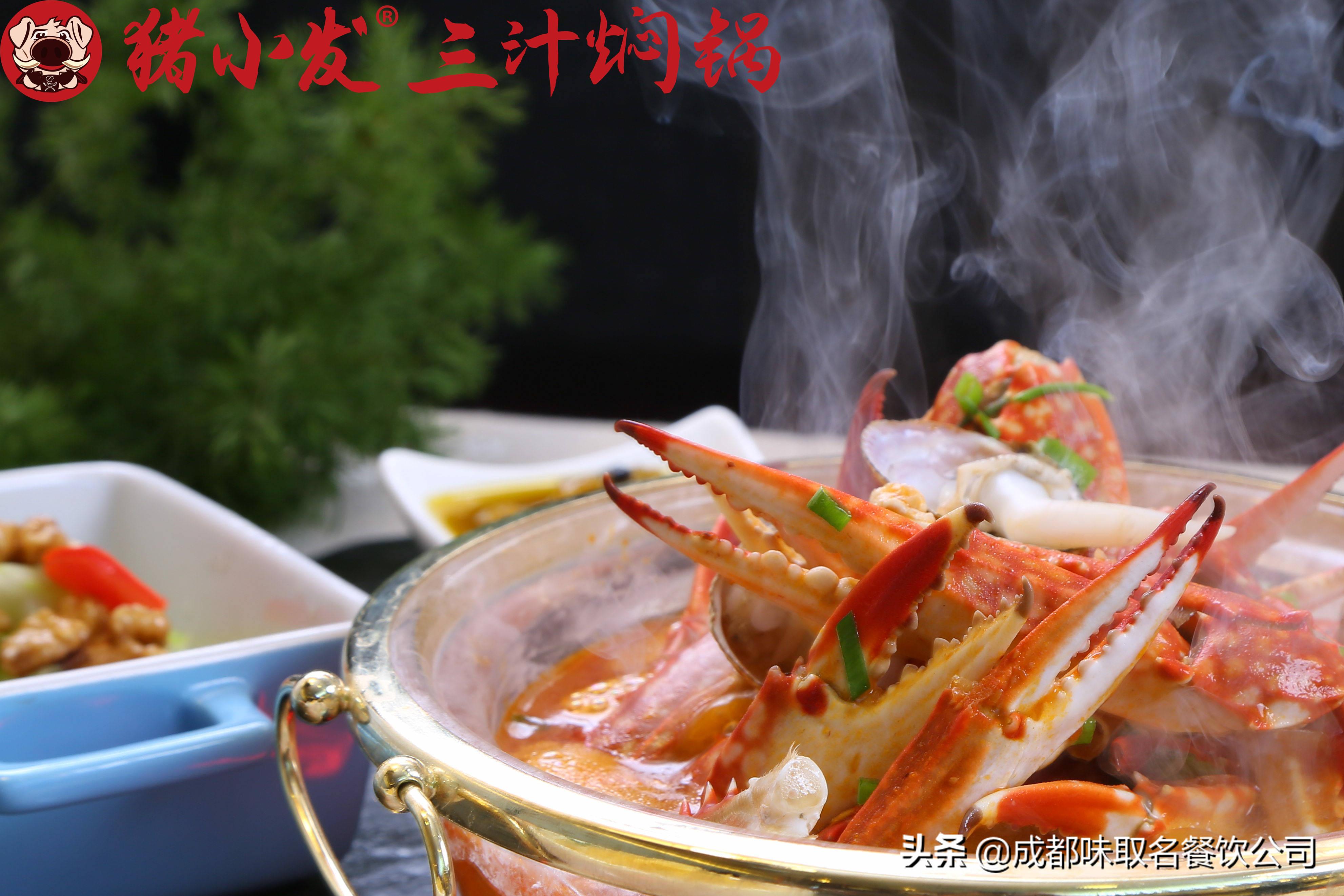 昨夜闲潭梦落花全文免费阅读,昨夜闲潭梦落花小说剧透