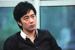 陈欧身价多少亿完整版,陈欧输光300亿该何去何从