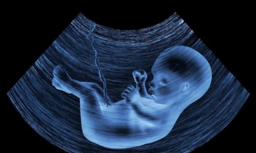 满月之夜，奇迹发生！赵正芹双子宫怀孕引发全球热议