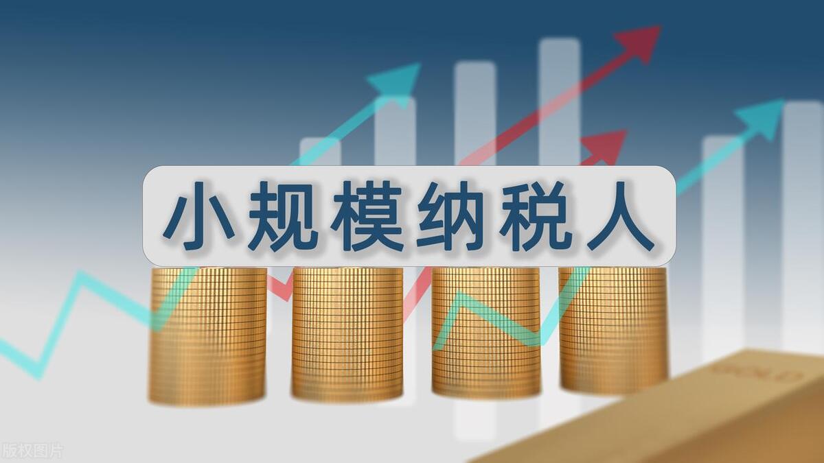 小规模企业每个月要报哪些税,小规模纳税企业要交哪些税