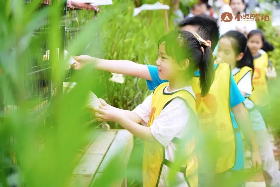 小泥巴营地亲子好去处,周末带孩子露营去哪玩推荐