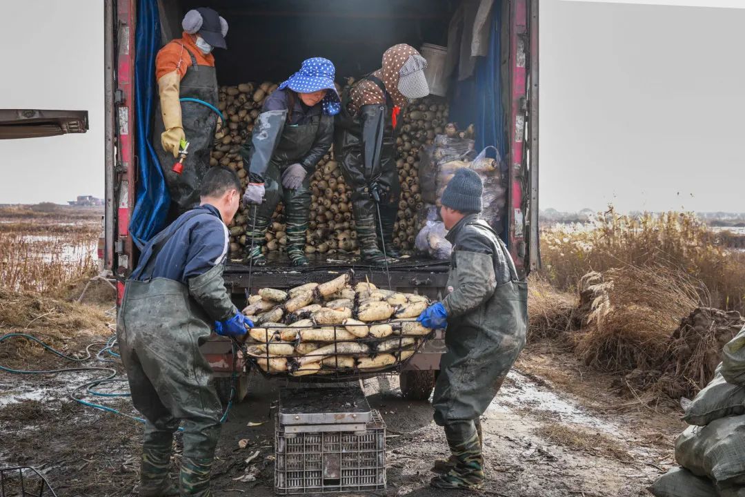 迎接党的20大美术作品,喜迎二十大乡村摄影展