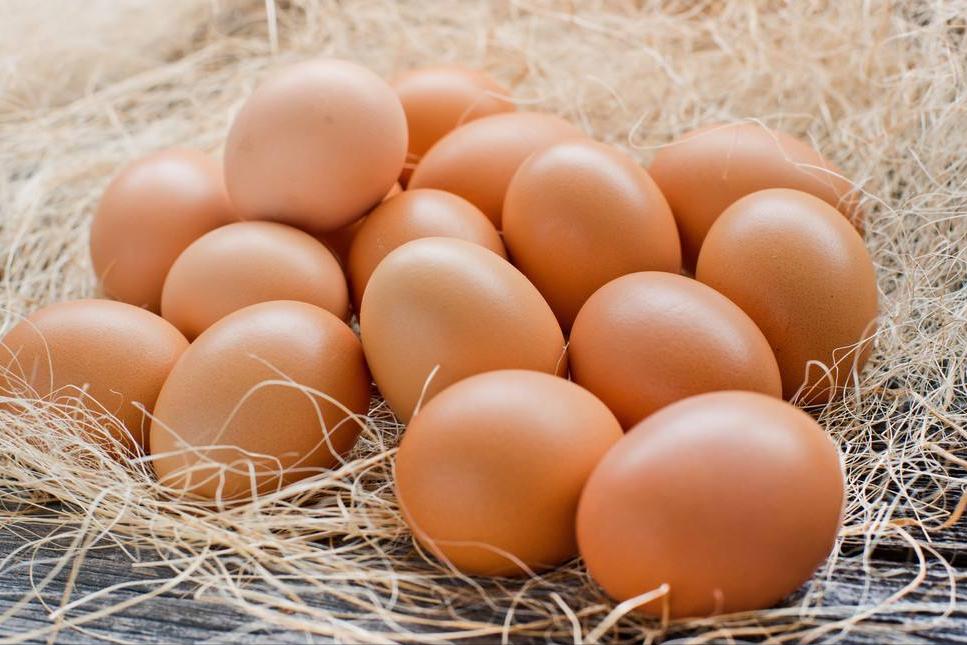 最适合小孩的食物排名,孩子最爱吃的十种食物