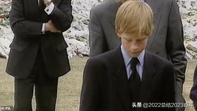 哈里王子新书备胎,哈里王子拟出回忆录