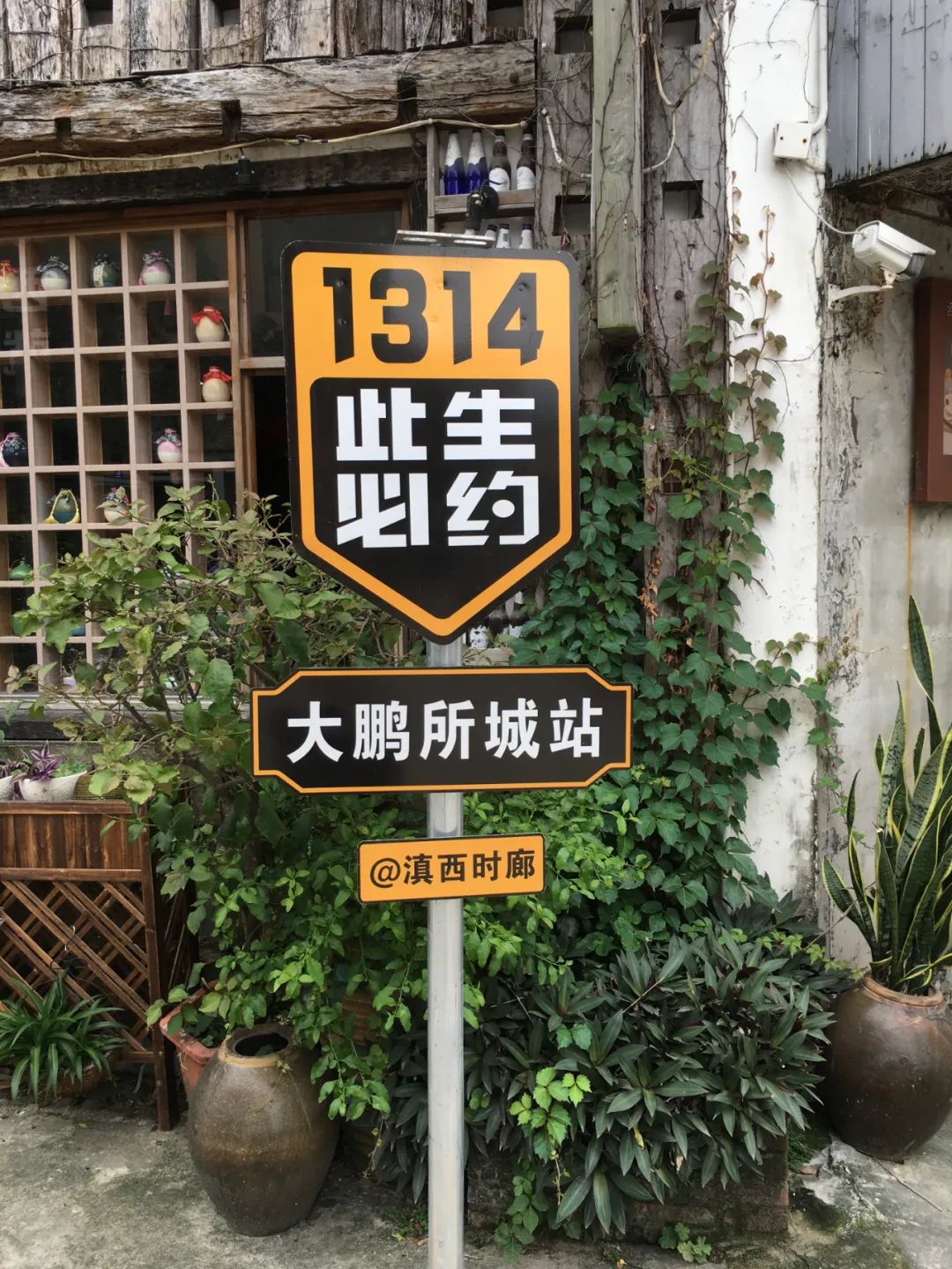 《旭光骑行深圳》第19站——大鹏新区大鹏街道