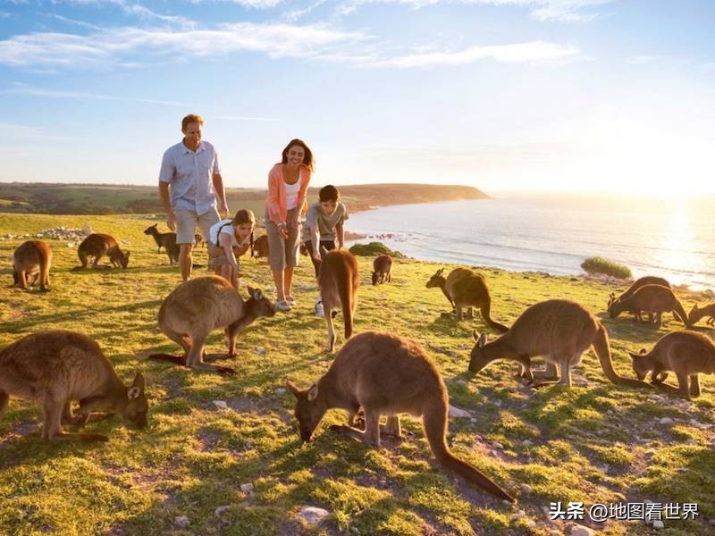 奥库斯联盟有哪些国家,奥库斯联盟国家