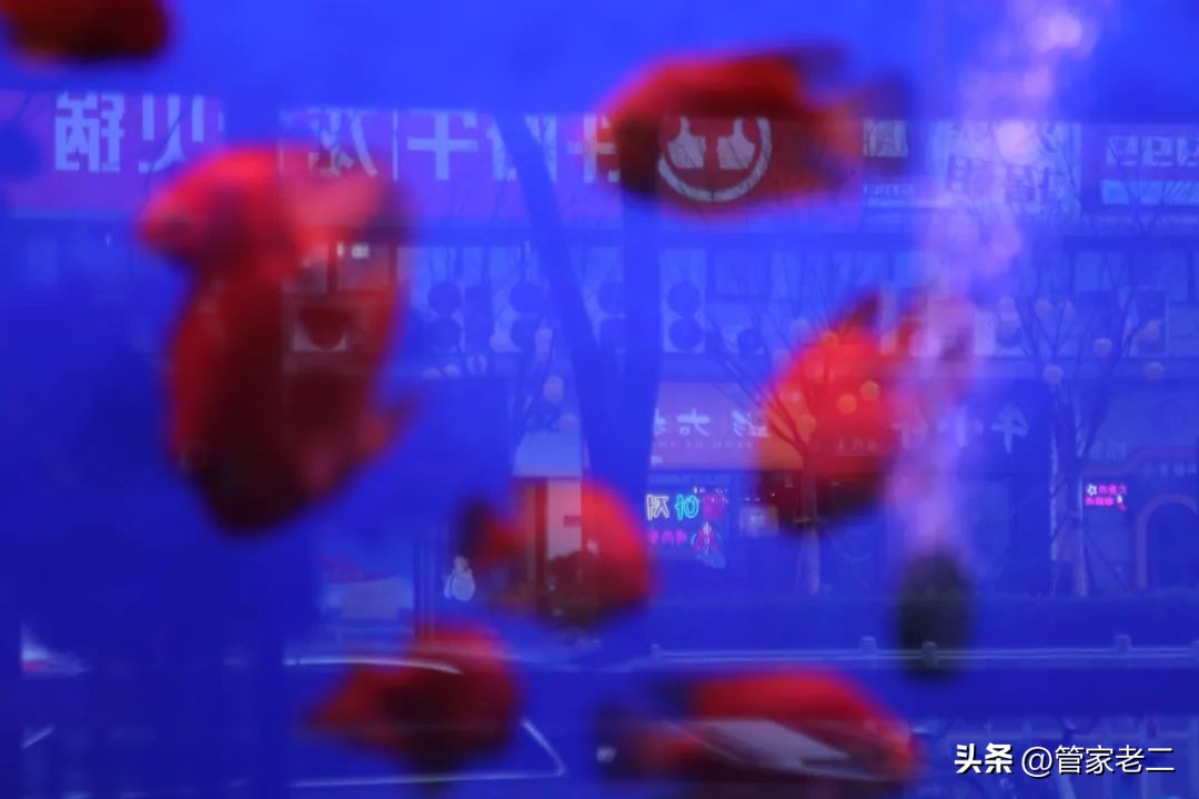 郑州疫情，我哥困守烟酒店20多天，把洗洁精当洗发水……