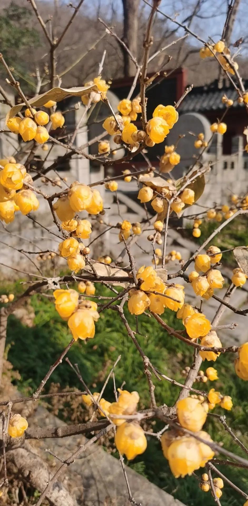 一条皮带为什么那么贵,一条皮带一个故事