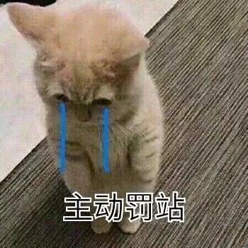 给你花花表情包,给你花花表情包啥意思