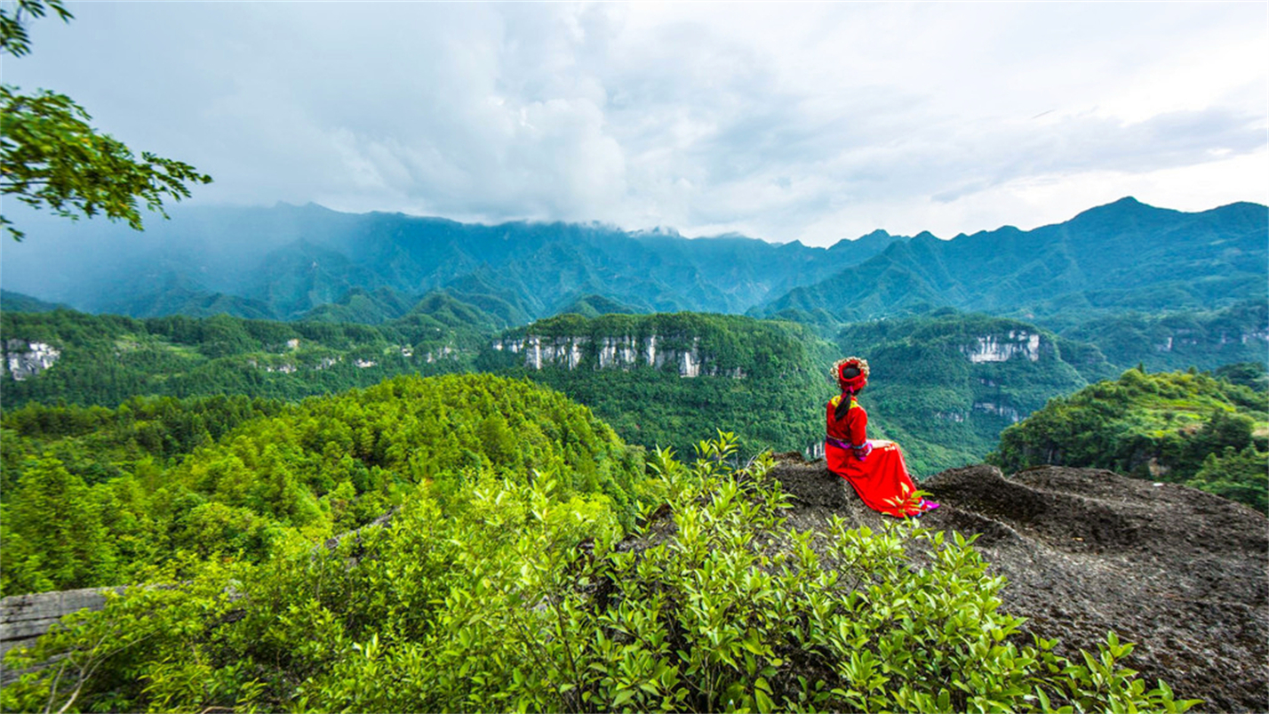 雅茶品禅味,茶烟养性灵