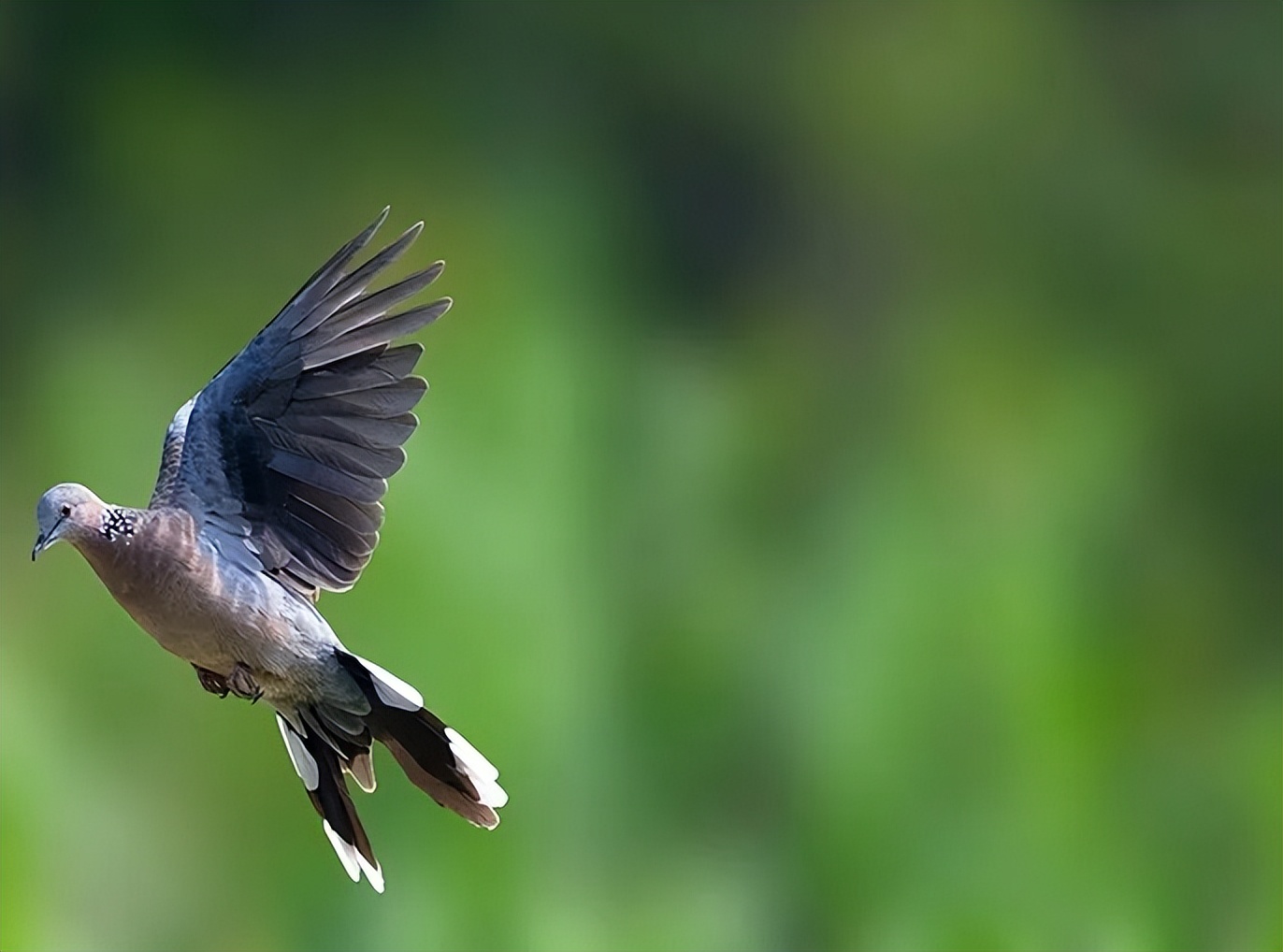 许昌的冬天有多冷,许昌的冬天会冷吗