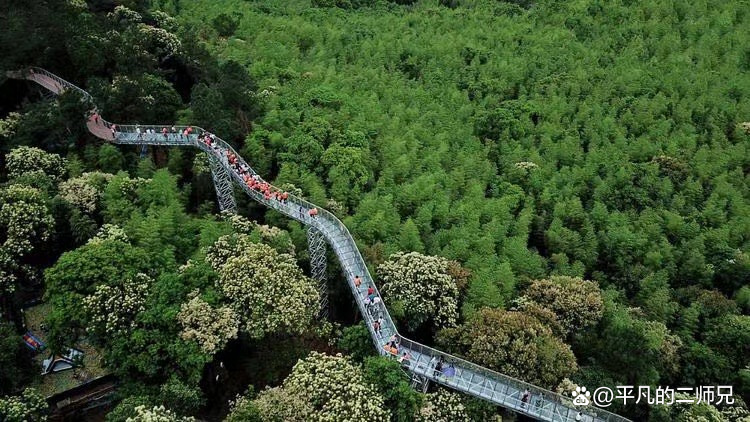 2022年春节赣州哪些景点免费旅游,2022年赣州旅游景点免费的