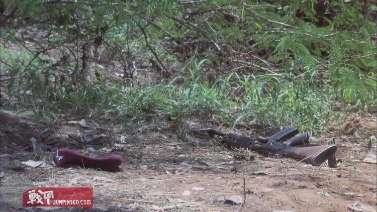 电影野鹅敢死队全集视频,野鹅敢死队故事梗概