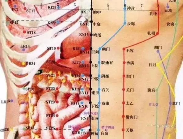 止呕穴准确位置图,腹通谷穴位图片