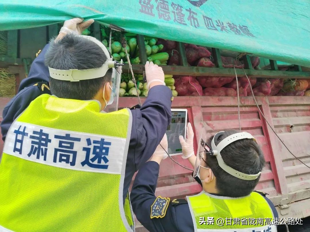 查一查陇南高速公路人的“元素周期表”