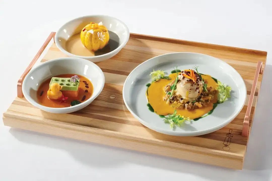 2023博古斯世界烹饪大赛超燃剪辑 (博古斯世界烹饪大赛中国代表队)