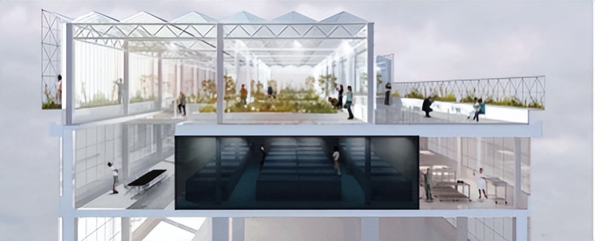 城市旧建筑屋顶的重生※——荷兰海牙德施尔德鱼菜共生农场