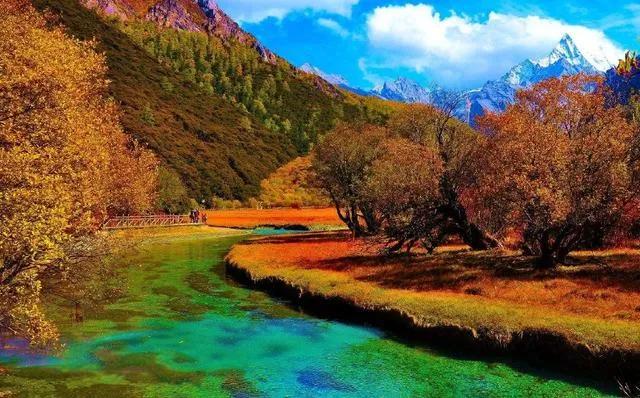 一定要来南方旅游,领略南方景色的风情万种