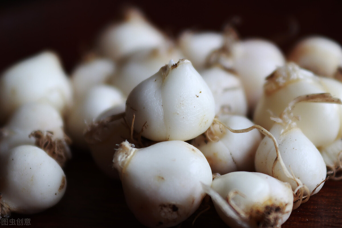 川贝母止咳化痰效果如何,川贝母雪梨止咳化痰做法