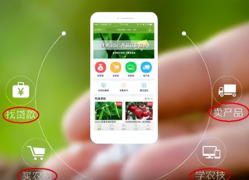 农业app如何盈利,农业app赚钱