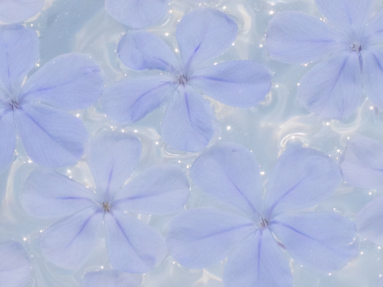 白羊座性格优势及弱点分析,白羊座优点大集合