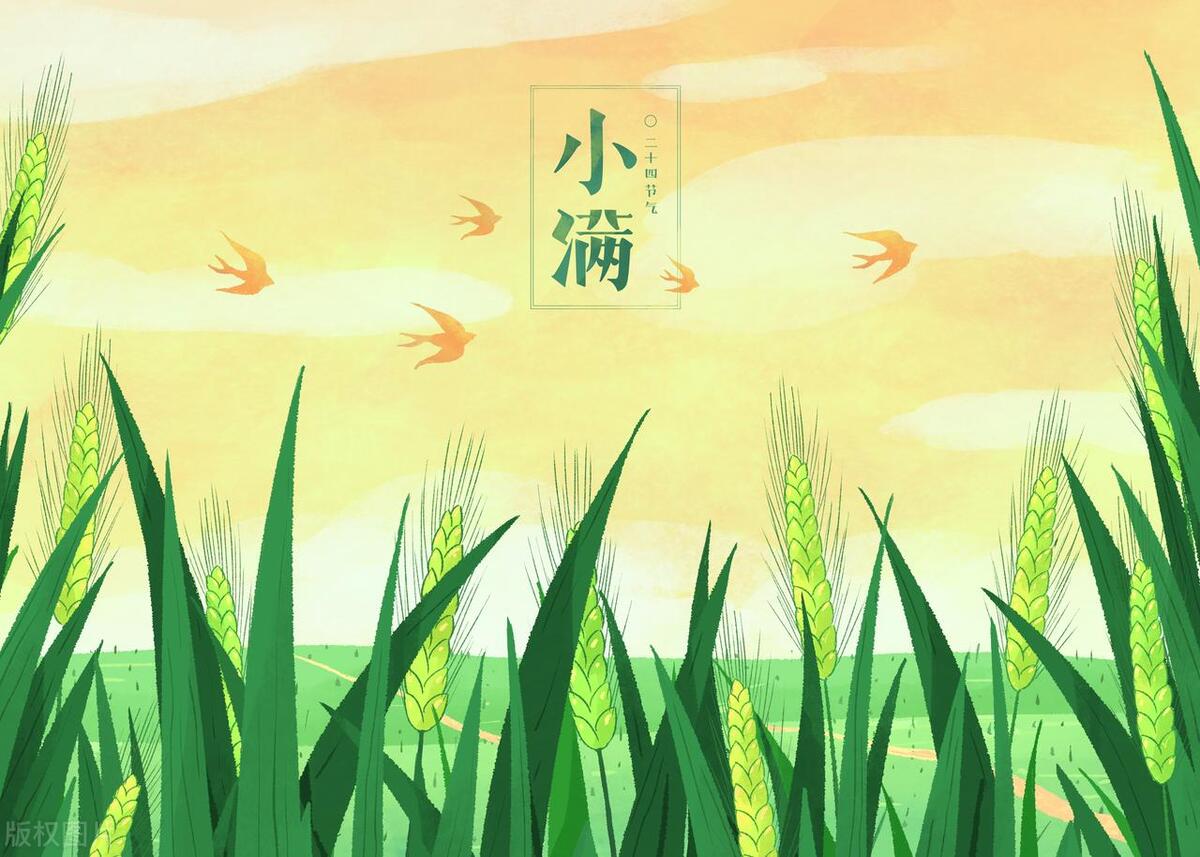 推荐6道适合夏天吃的凉拌菜,夏天必吃的八道凉拌菜